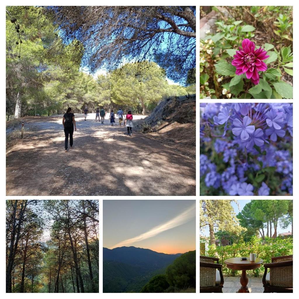 Tottam Art & Healthy Garden * Malaga