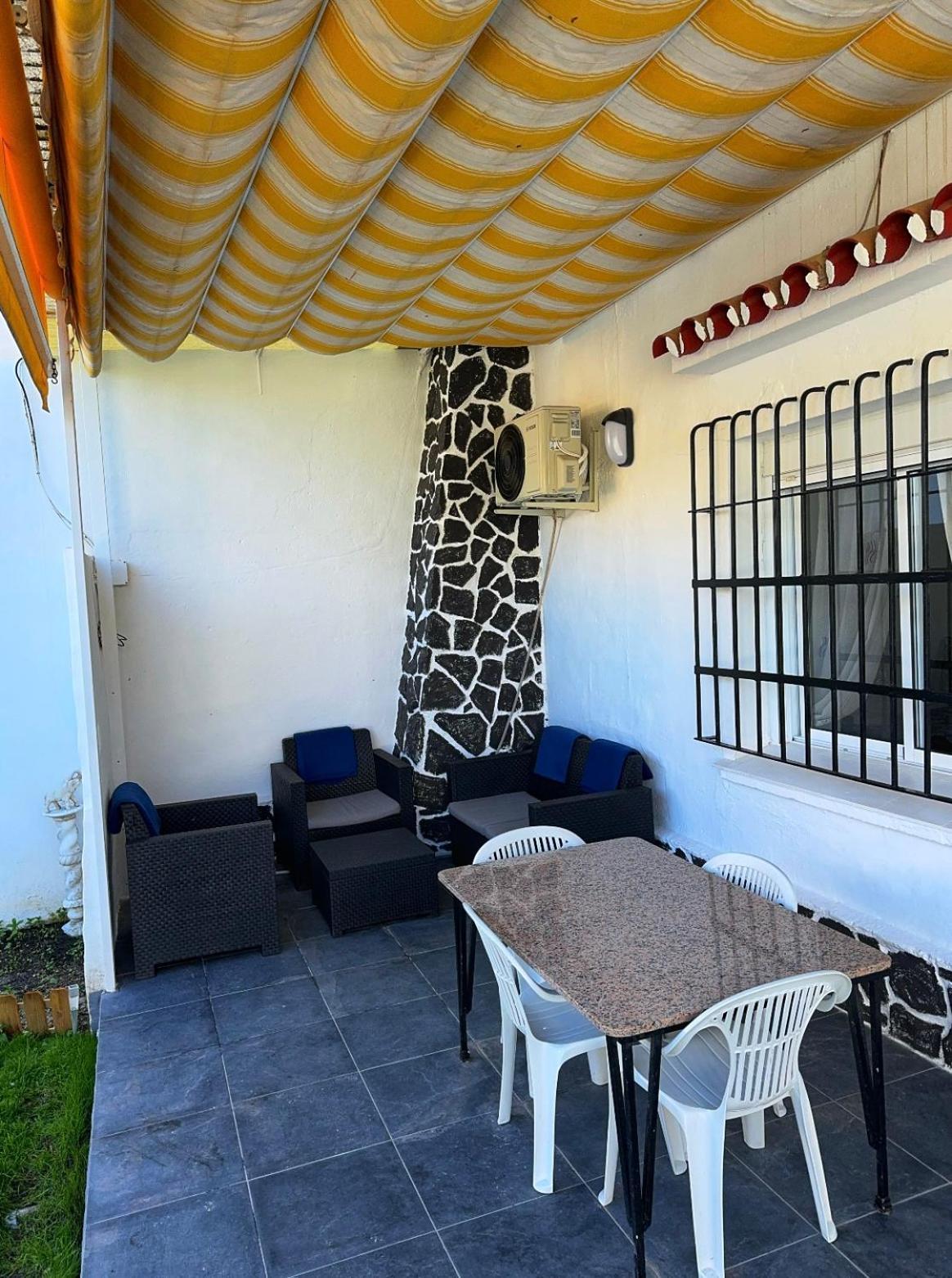 Girasol Malaga