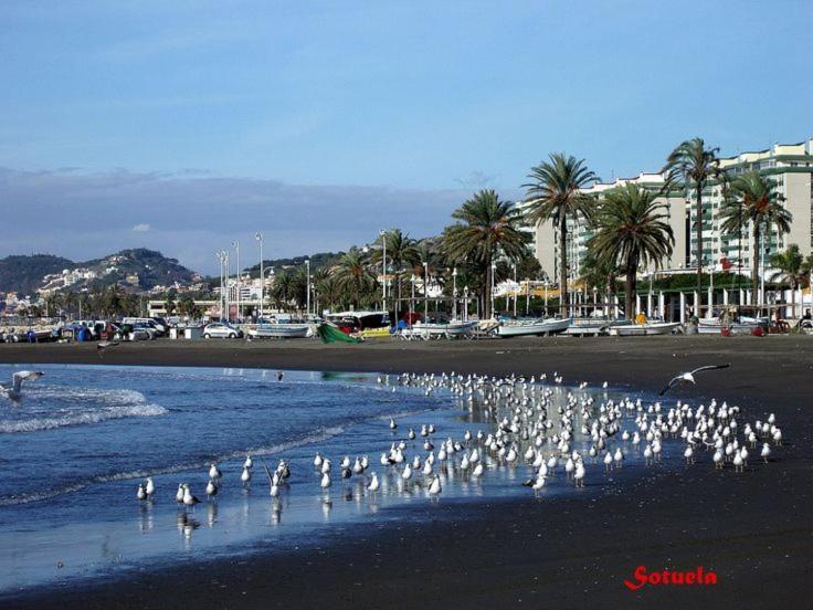 Solymar Appartement Málaga