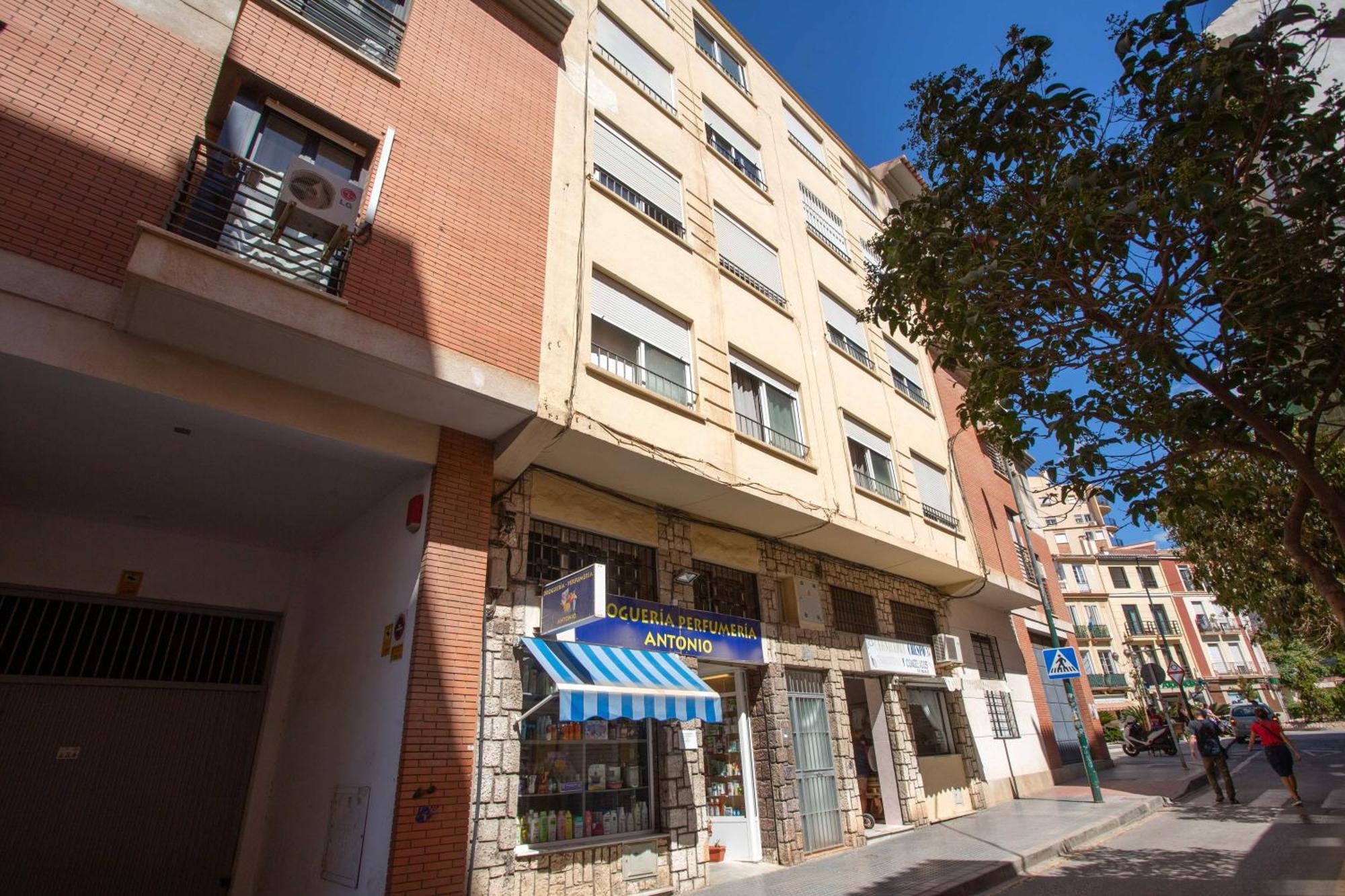 Centro Lagunillas Apartment