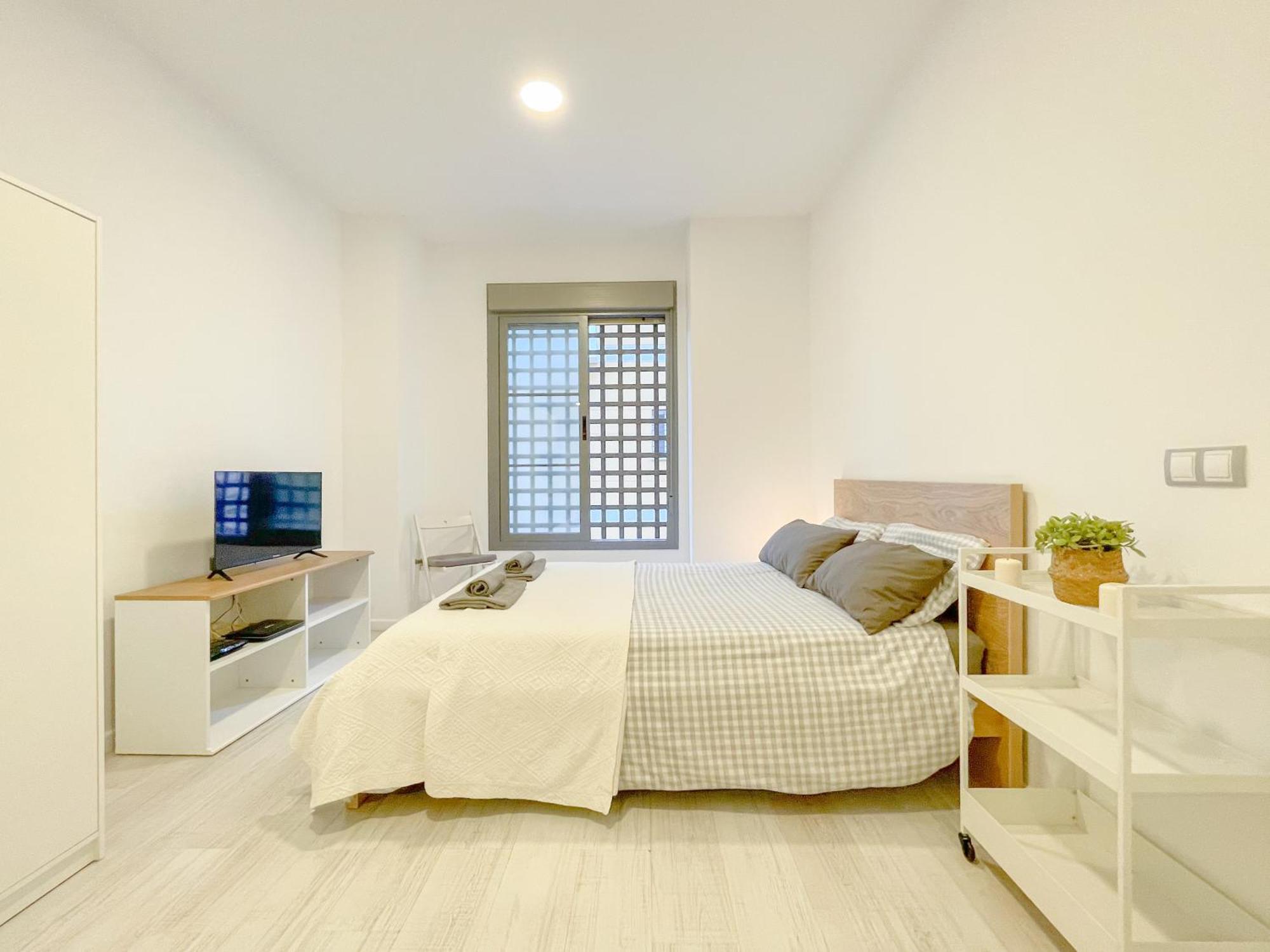 Estudio En Centro * Málaga