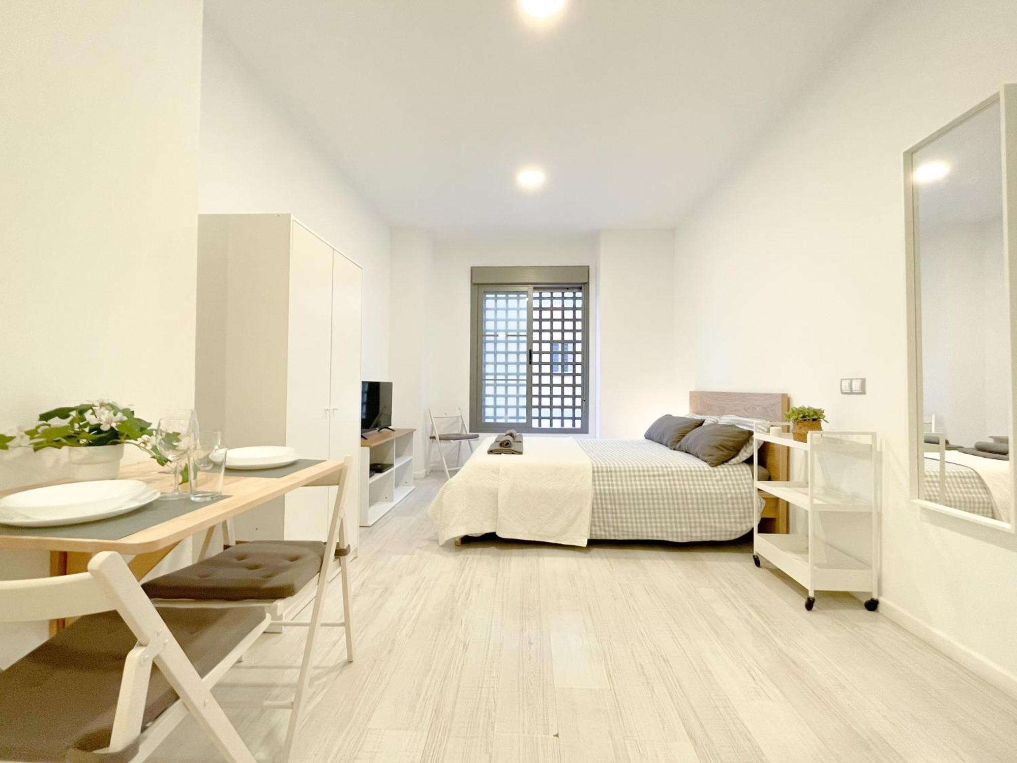 Estudio En Centro * Málaga