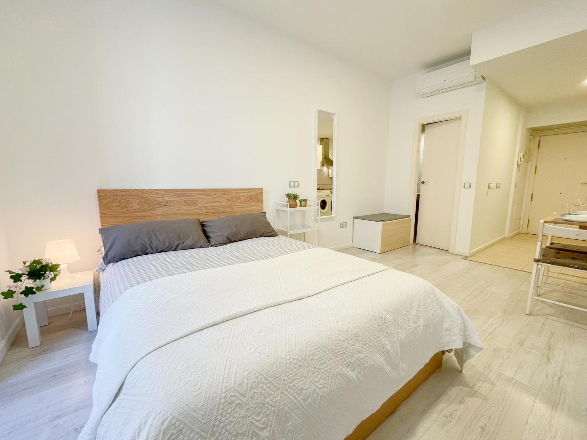 Estudio En Centro Appartement *