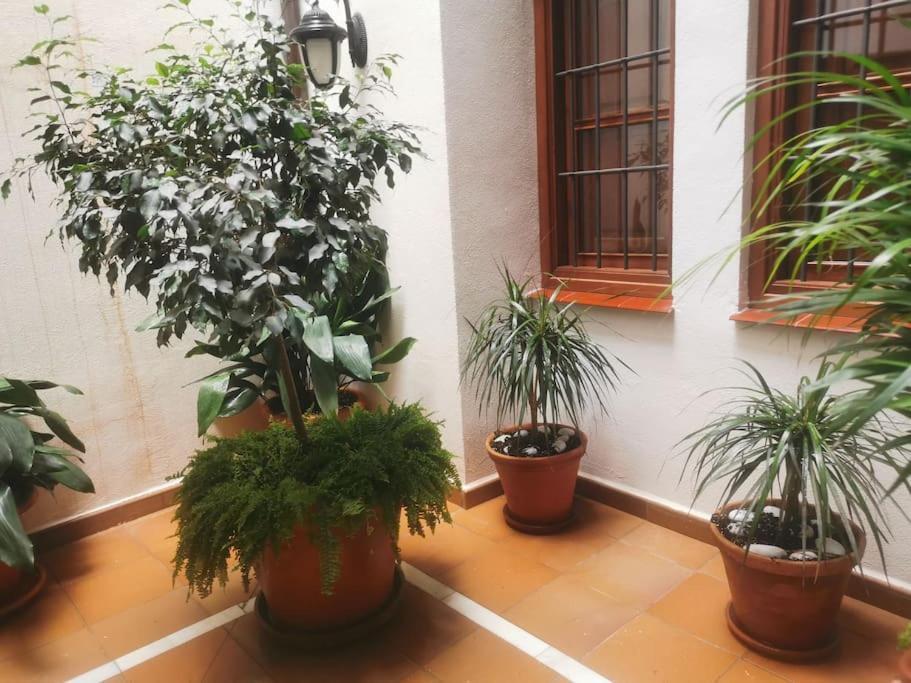 Attico Luxury Suitemalaga Appartement *