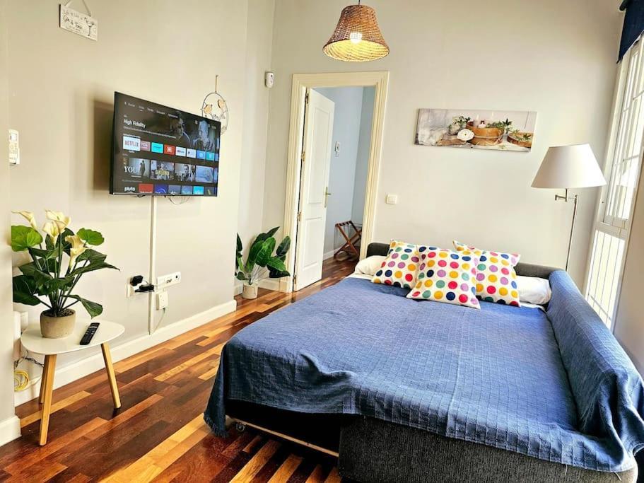 Apartment Cms Pena Historical Building