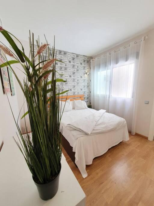 Apartment Modern A Few Minutes To The Center - Trip Málaga