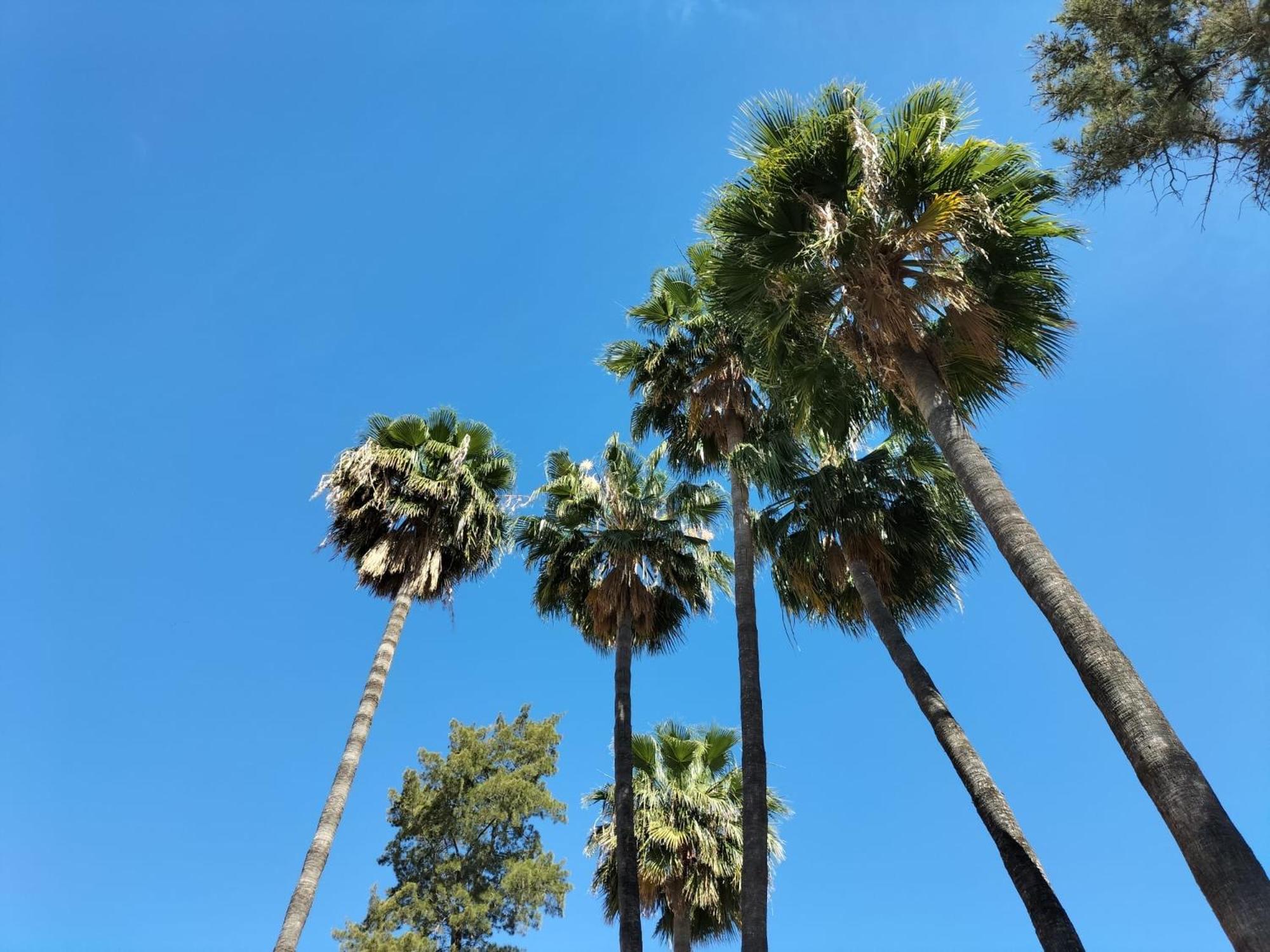 Vas Ciudad