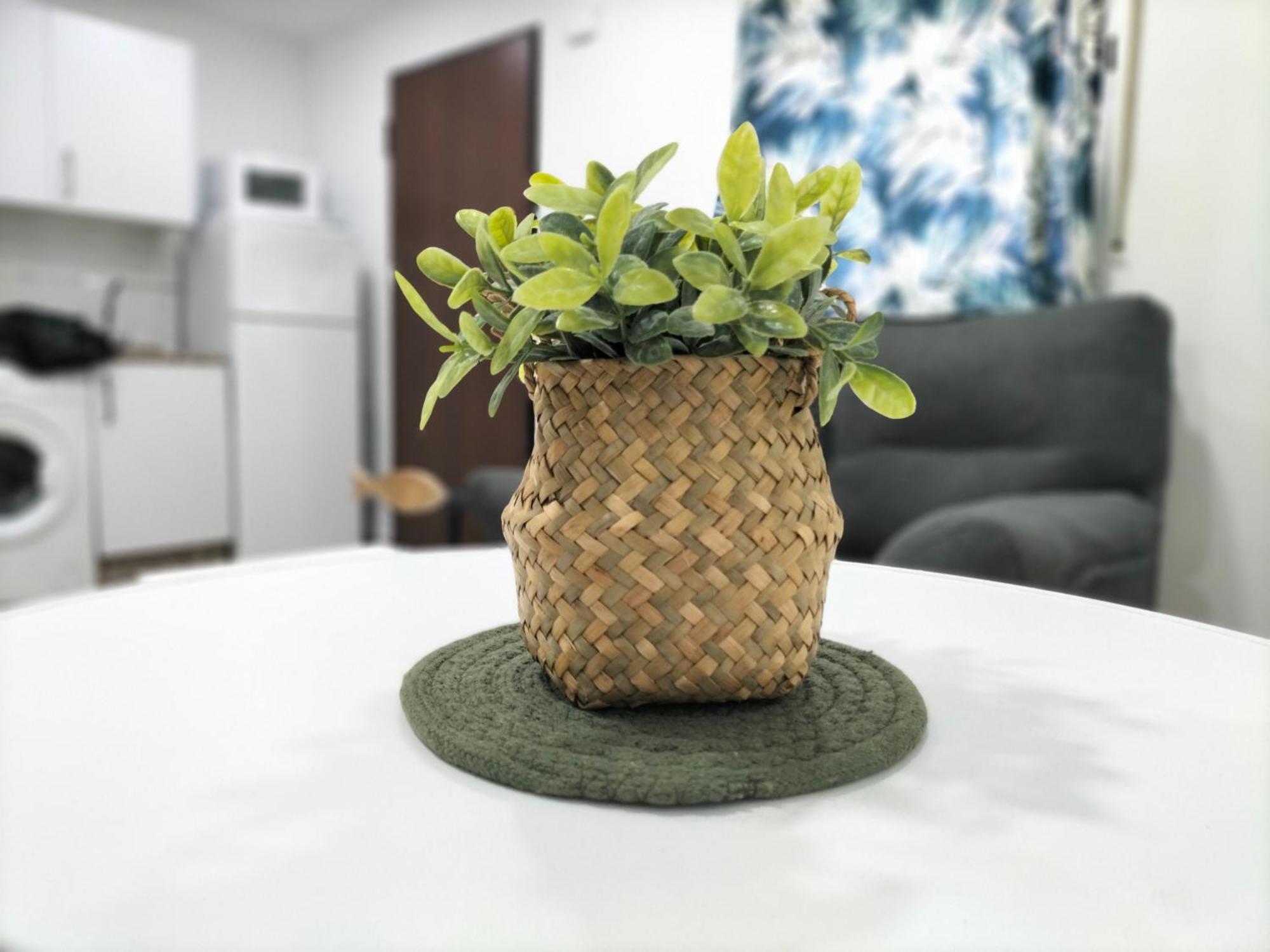 Gasset Infinity Apartment