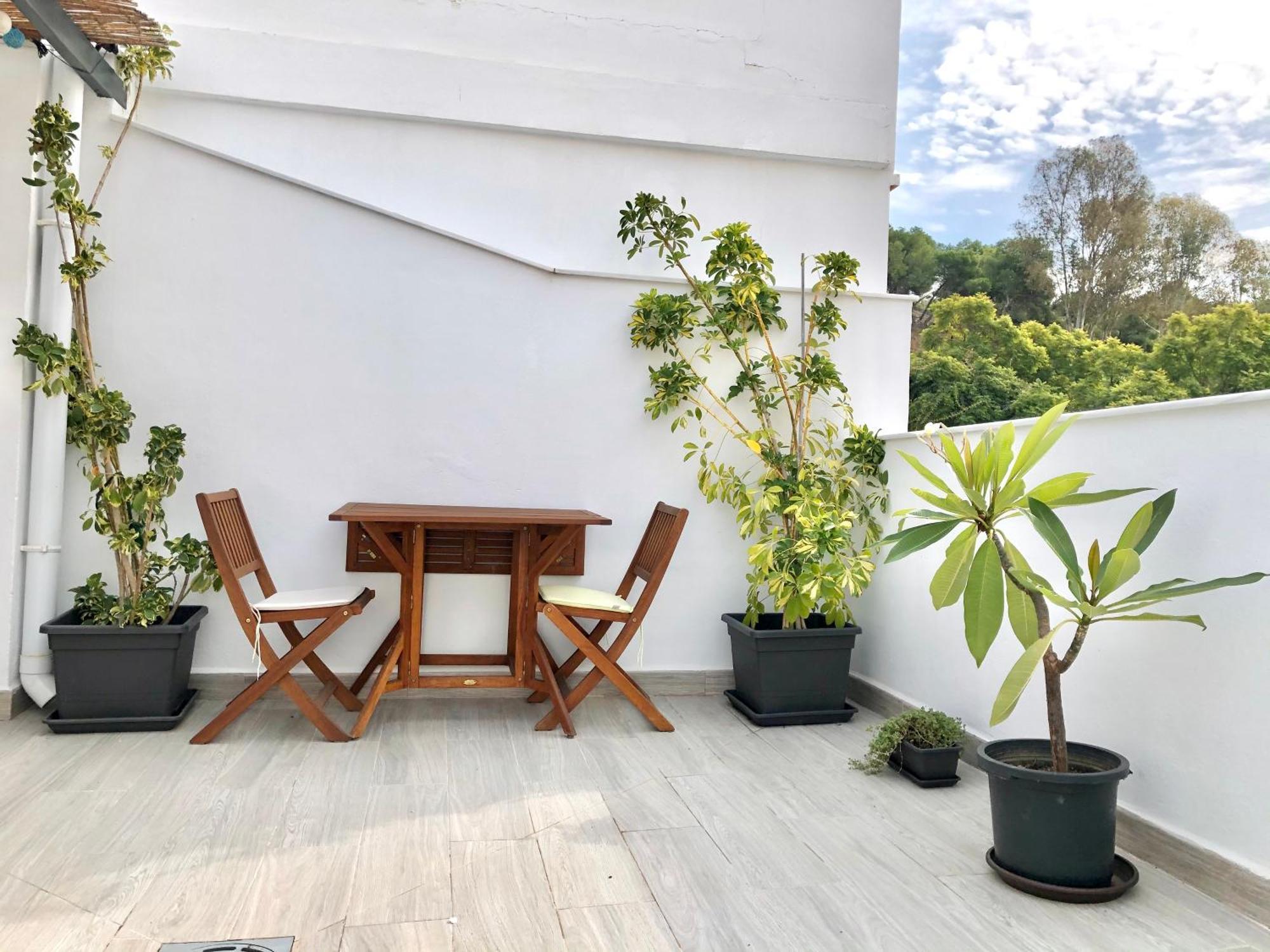 Apartment Centro Picacho