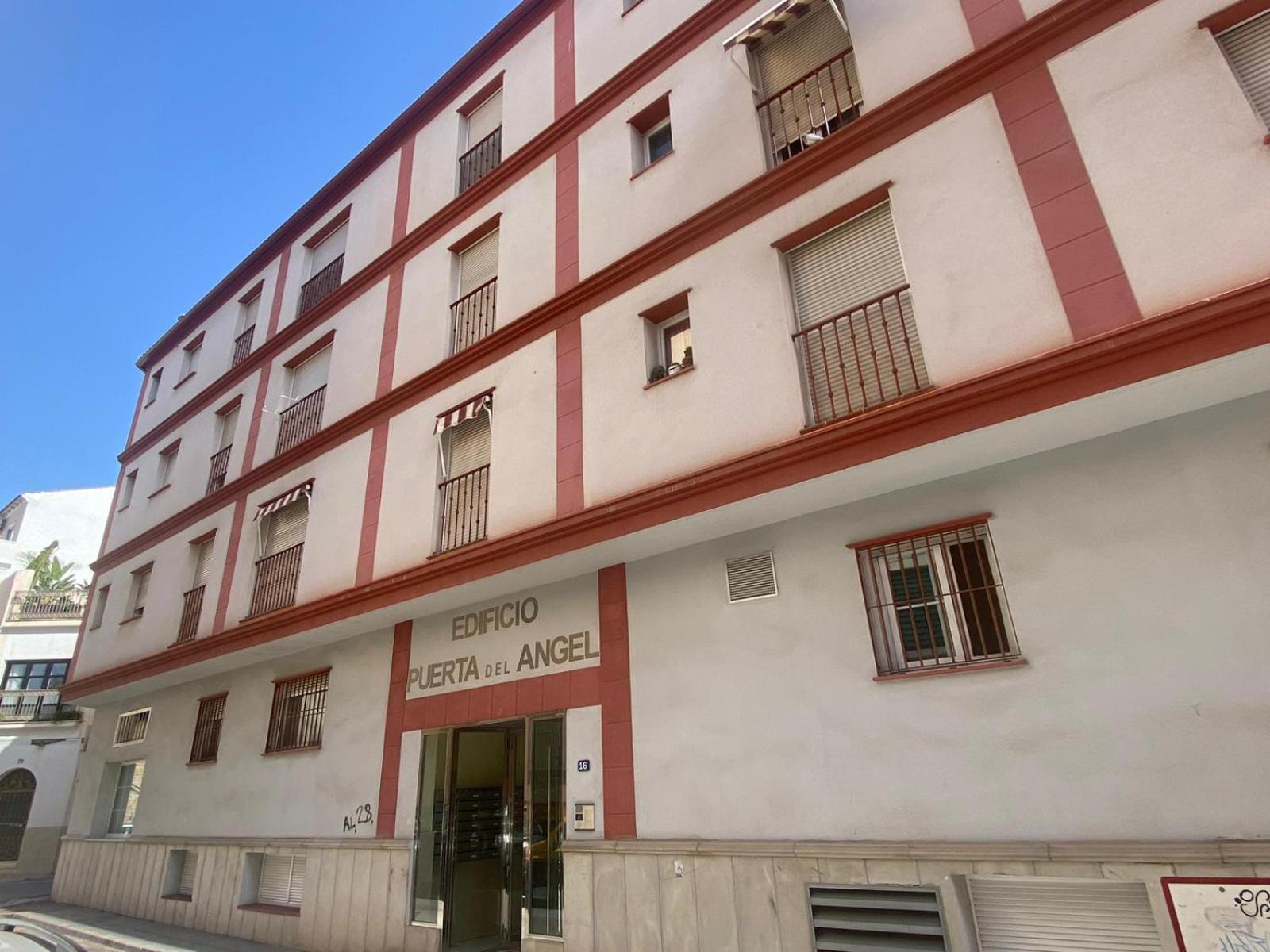 Apartment Maravilloso Centrico De 70m2, Jardin Propio 40m2 Con Piscina Ninos Y Parking Opcional Malaga