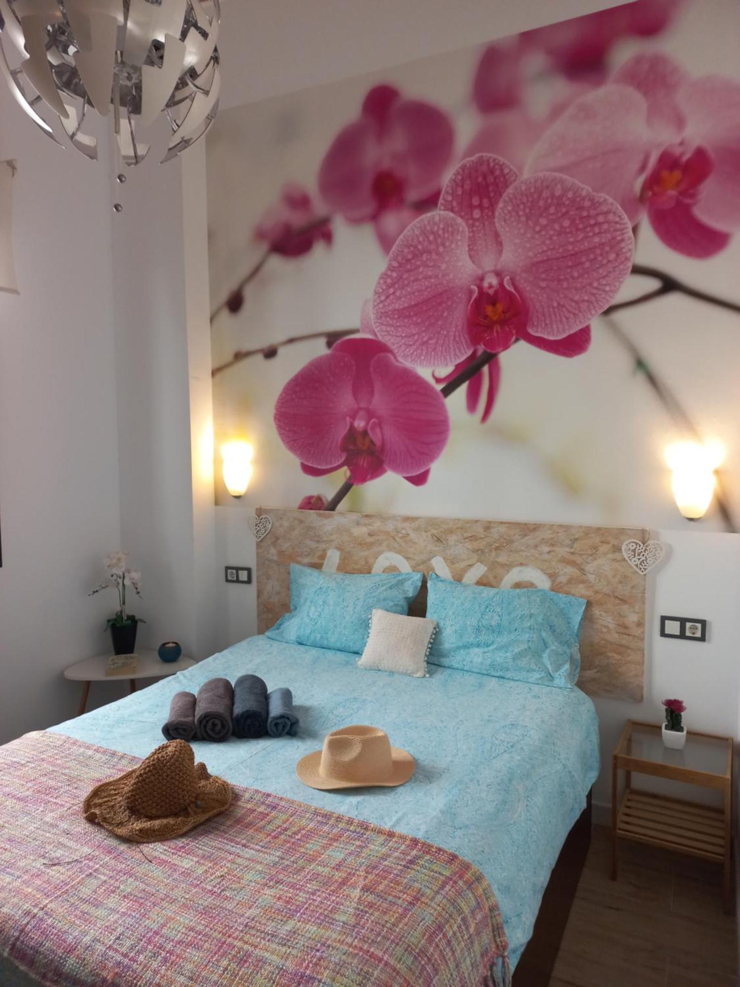 Apartamento Jinetes *