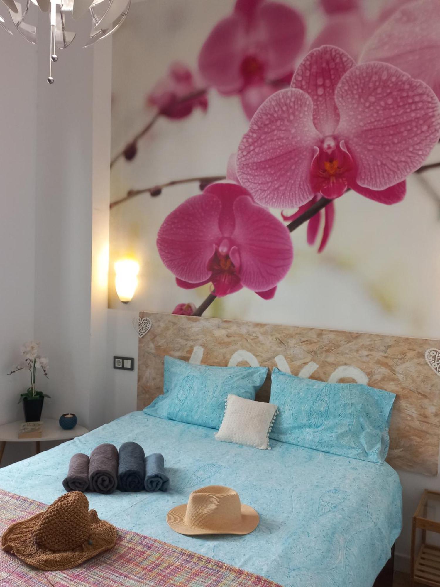 Jinetes Apartamento *