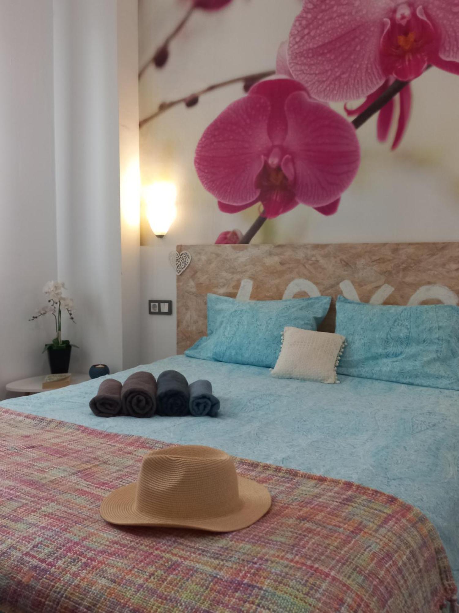 Apartamento Jinetes *