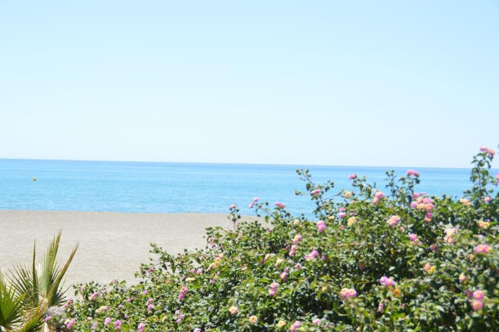 Apartment Nuevo, Disfruta Del Silencio, Familias Con Ninos, Aire Acondicionado, 2 Banos , Playa