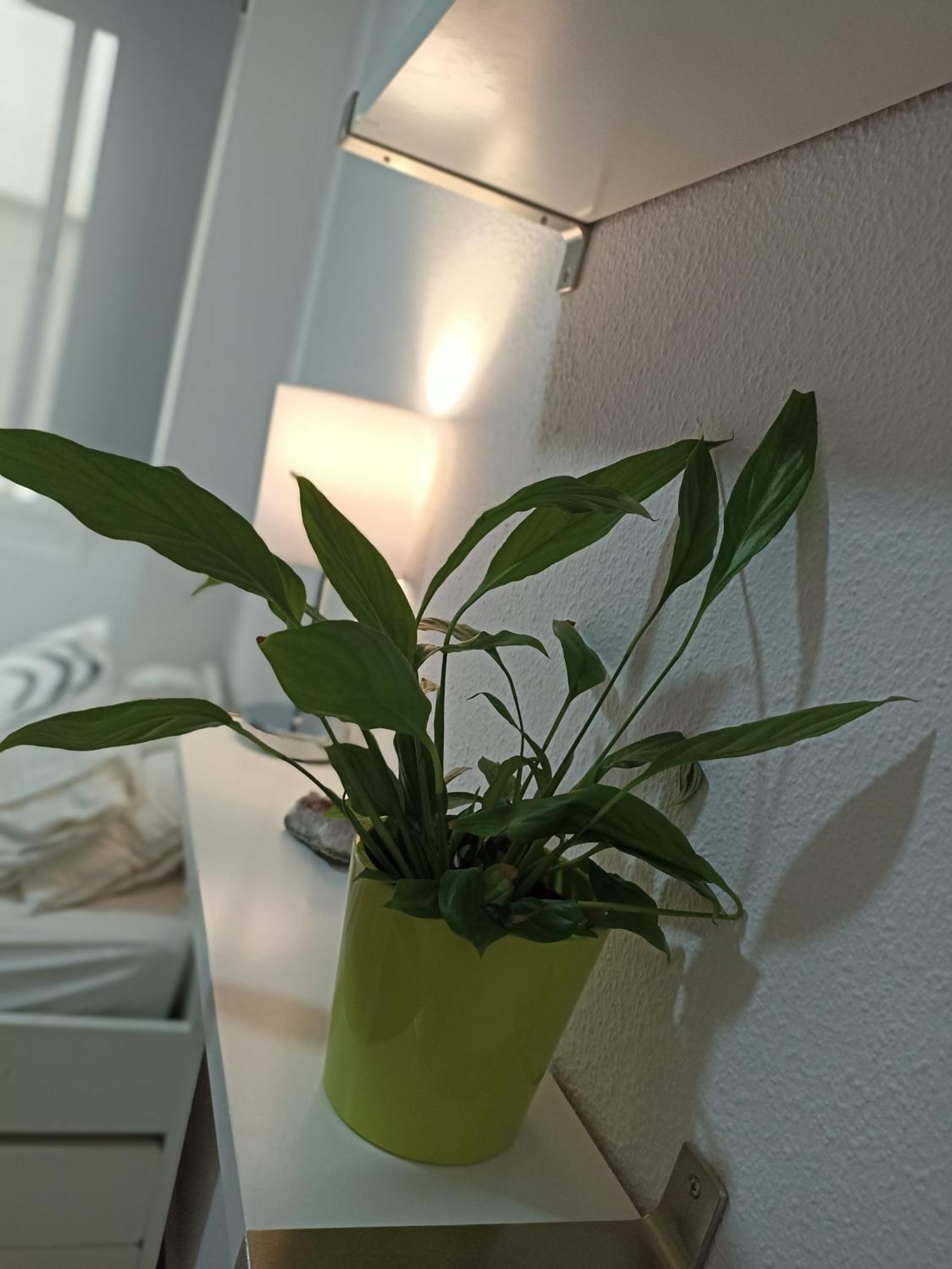 Confortable Habitacion Centrica En Piso Privado * Malaga