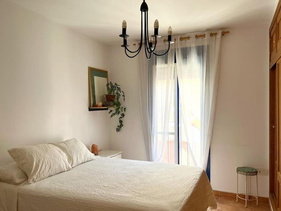 Casa Trini Malaga