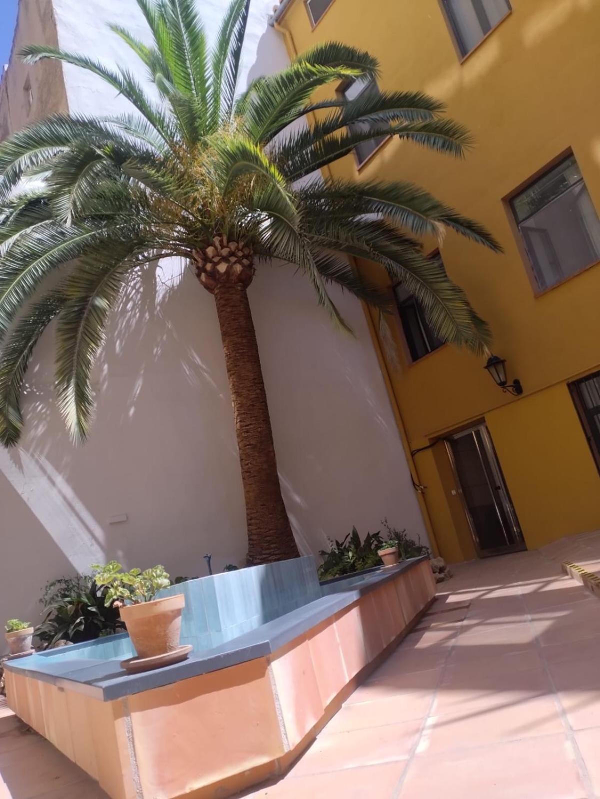 Apartment Oasis Center