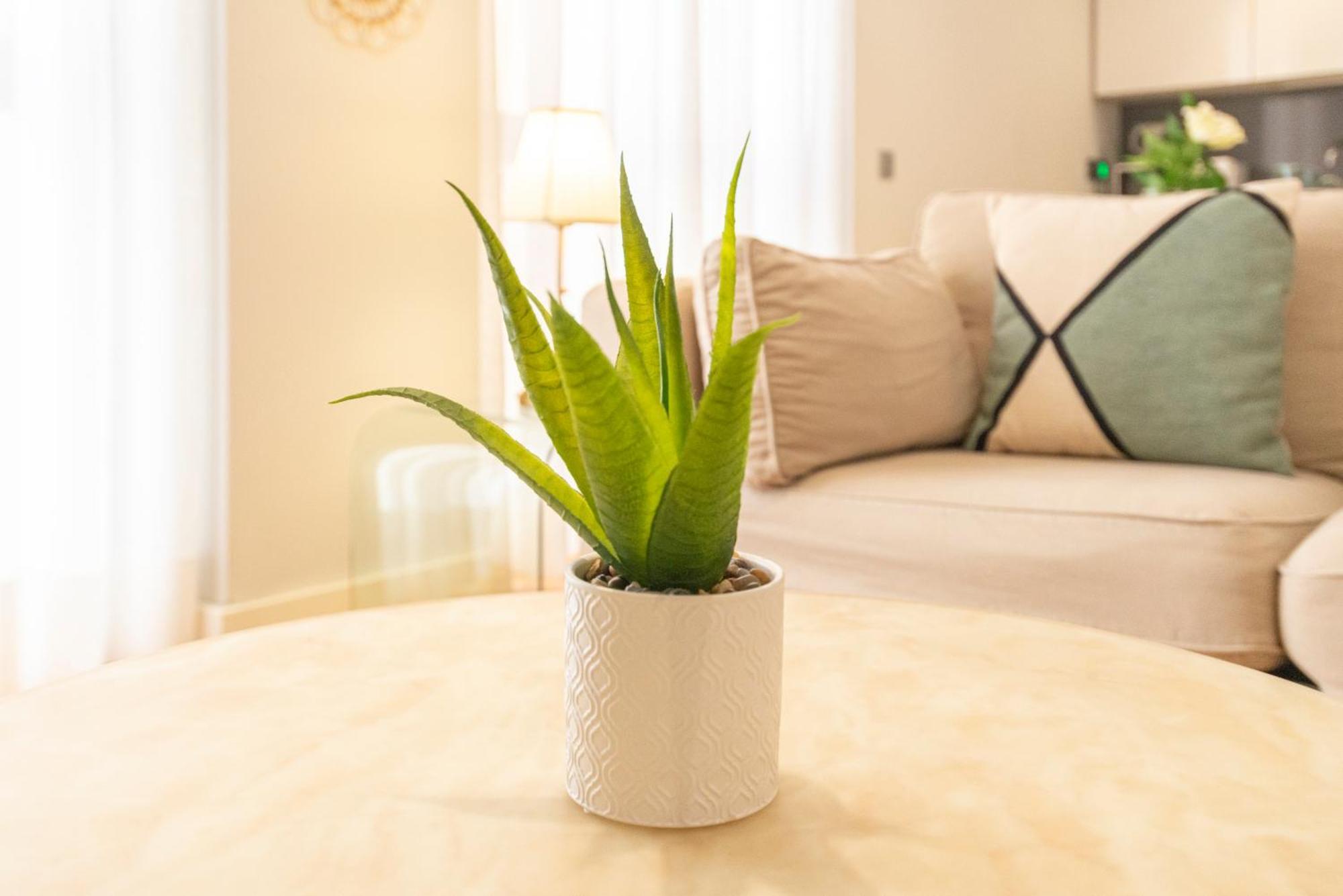 Souviron & Old Town By Ele Apartment Malaga