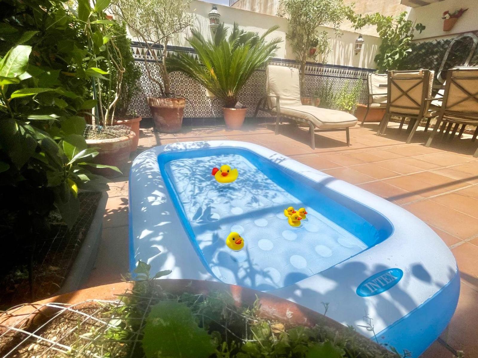 Maravilloso Centrico De 70m2, Jardin Propio 40m2 Con Piscina Ninos Y Parking Opcional Apartment *
