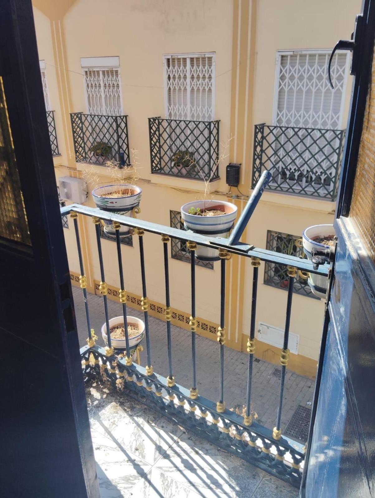 El Sardinal * Malaga