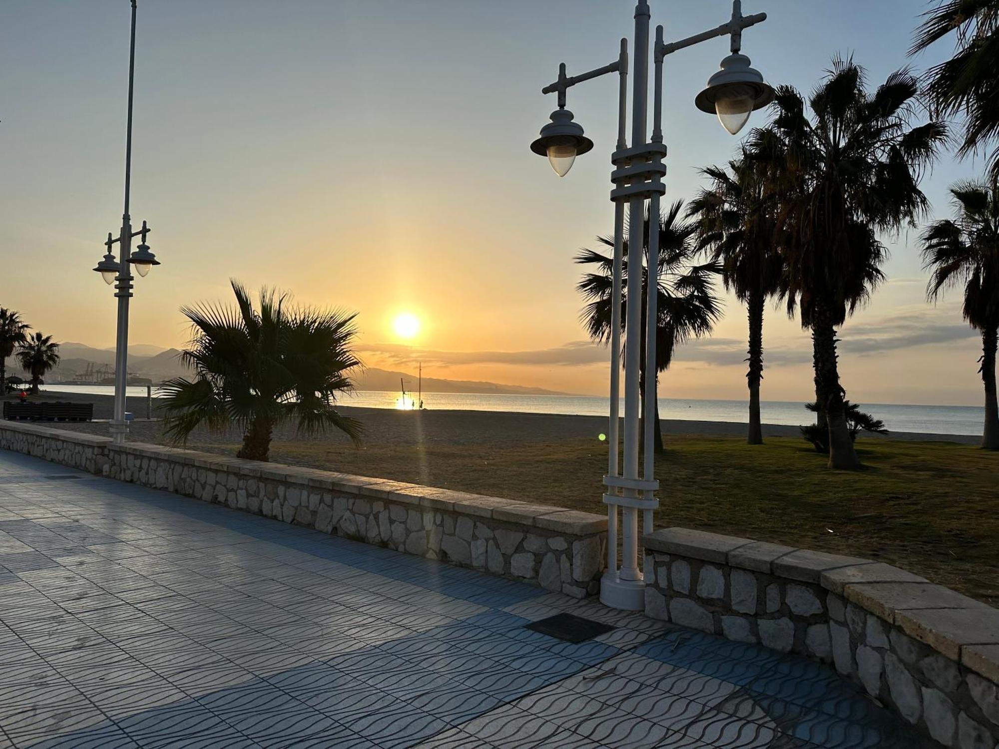 Flor Málaga