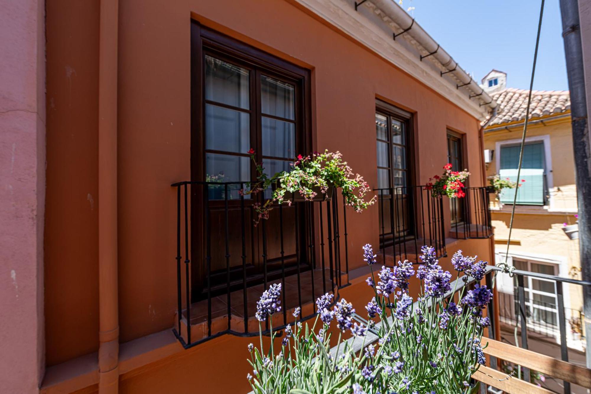 Apartment Iloftmalaga Center Malaga