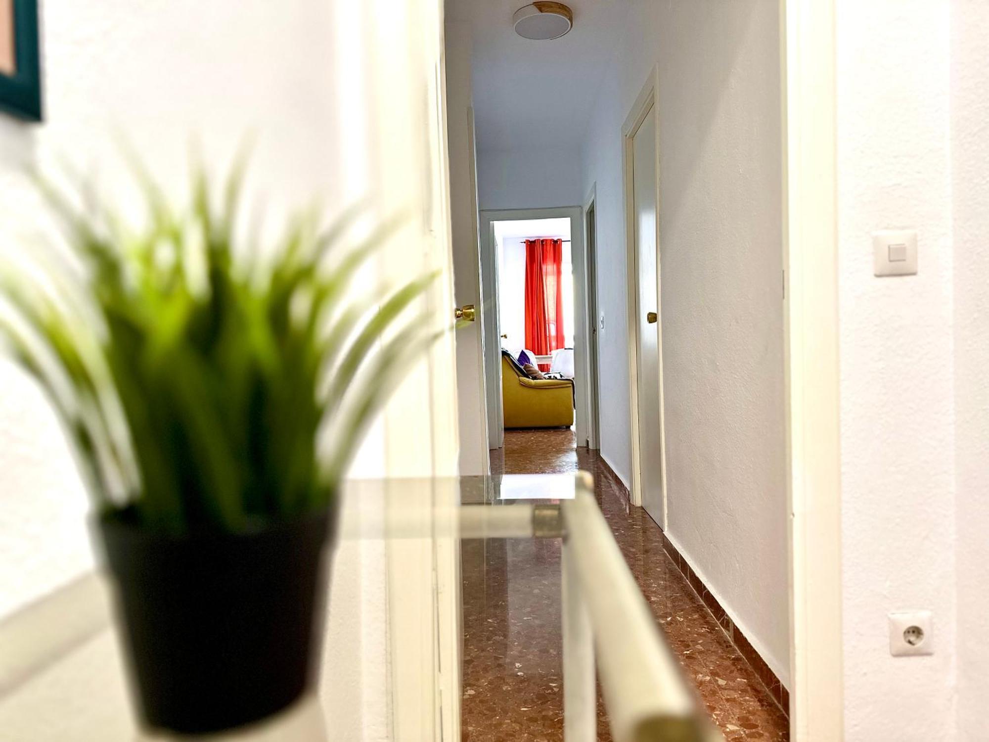 Apartment Apartamento - El Ejido Malaga