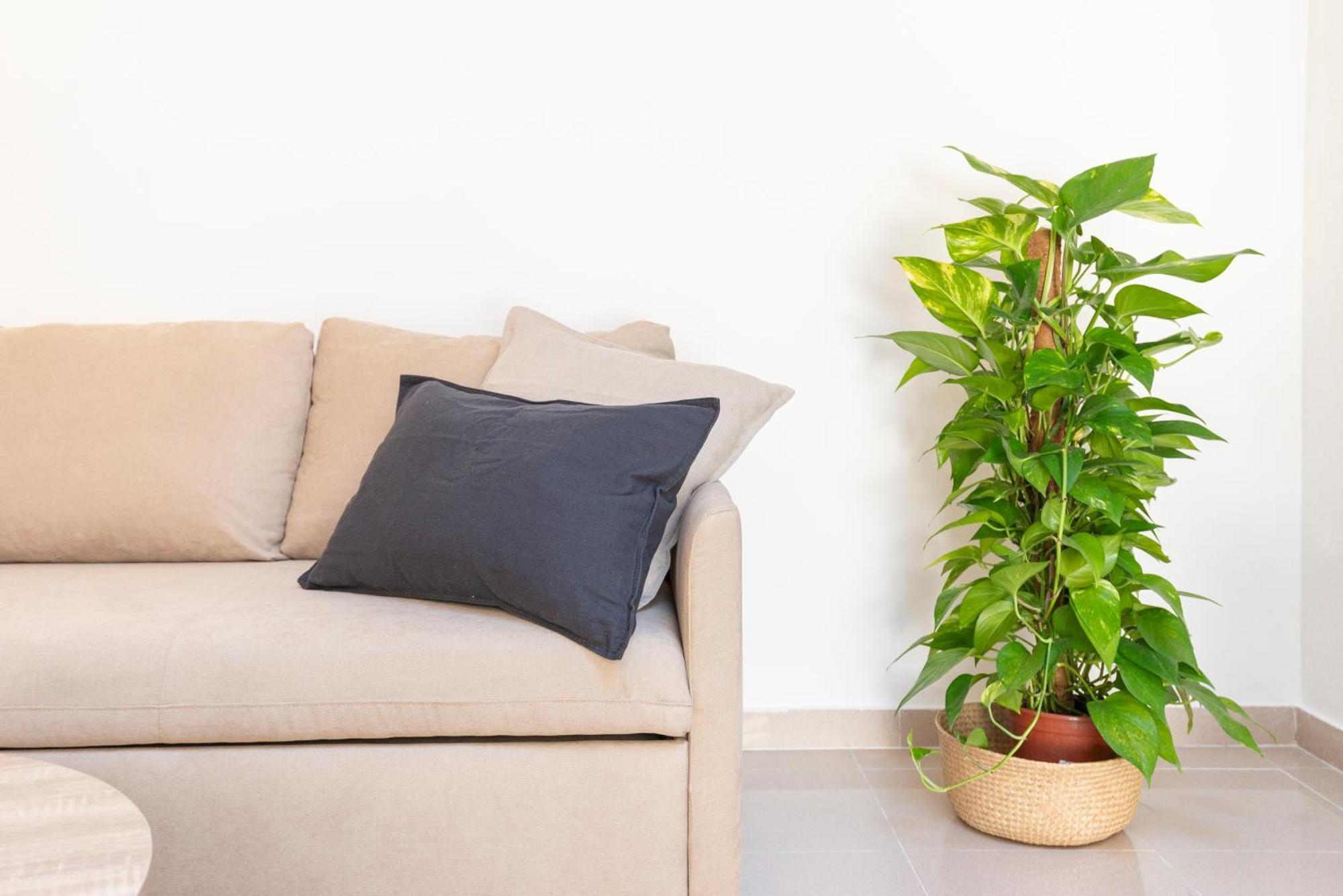 Boho En El Soho De Apartment Malaga