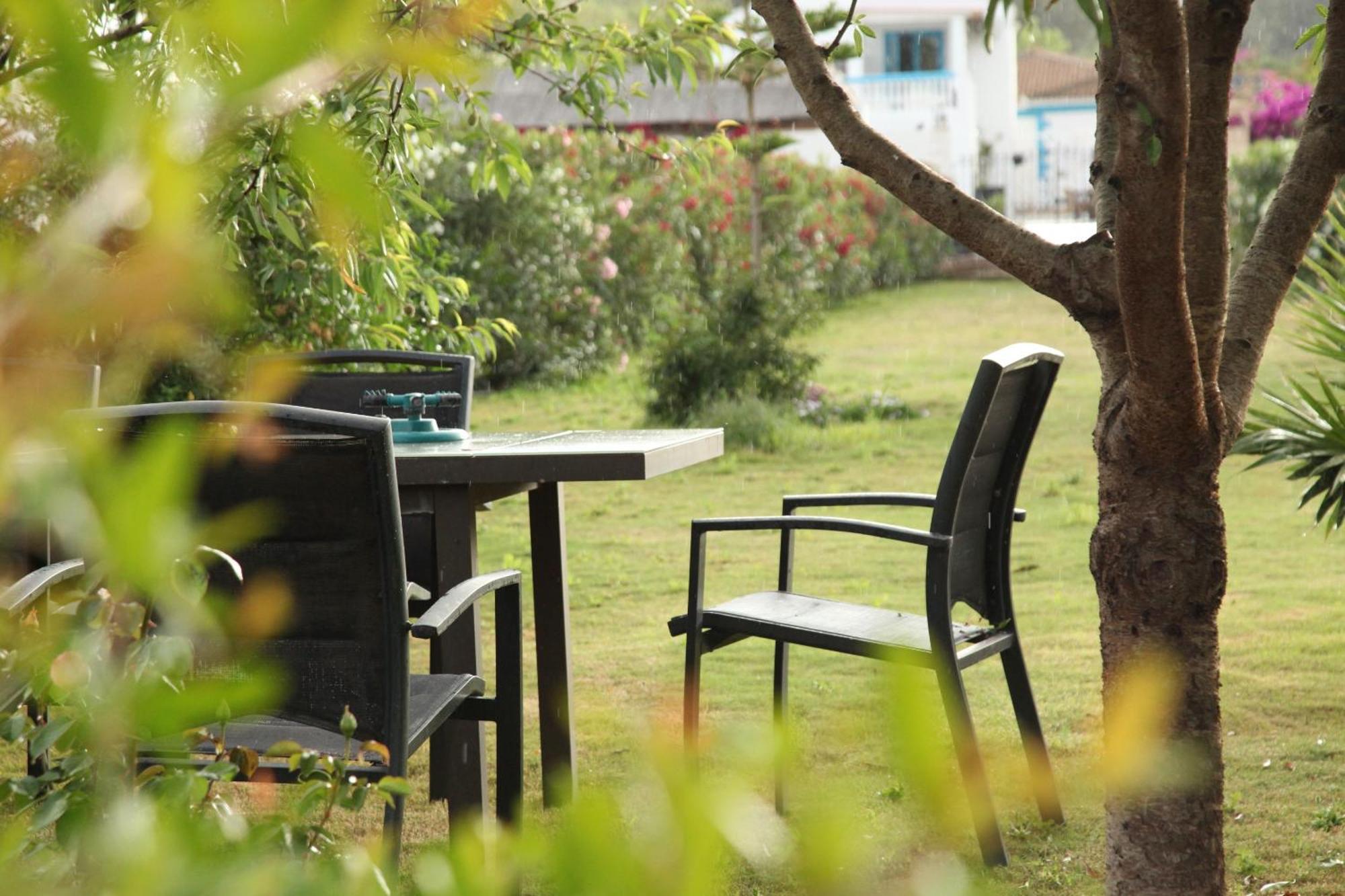 The Dragonfly Retreat Apartment