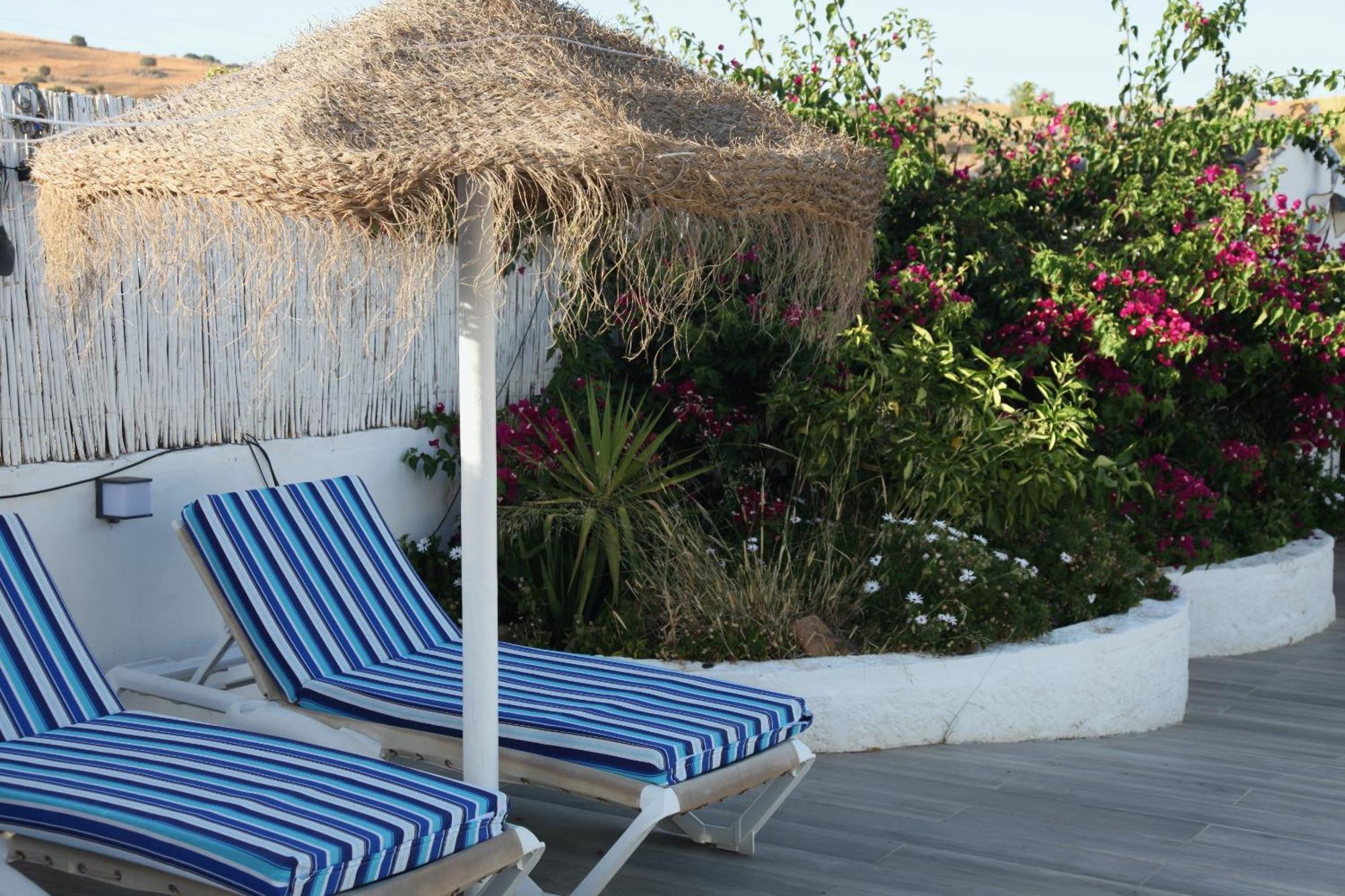 The Dragonfly Retreat