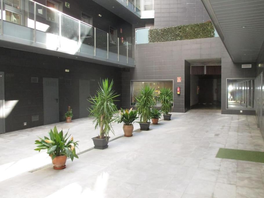 Loft Victoria * Malaga