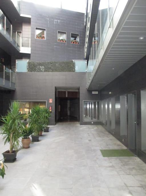 Loft Victoria Malaga