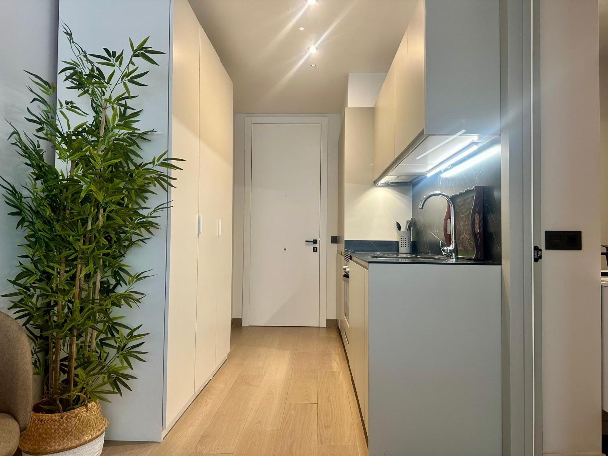 Muy Centrico E Ideal Para Parejas O Teletrabajo Appartement *