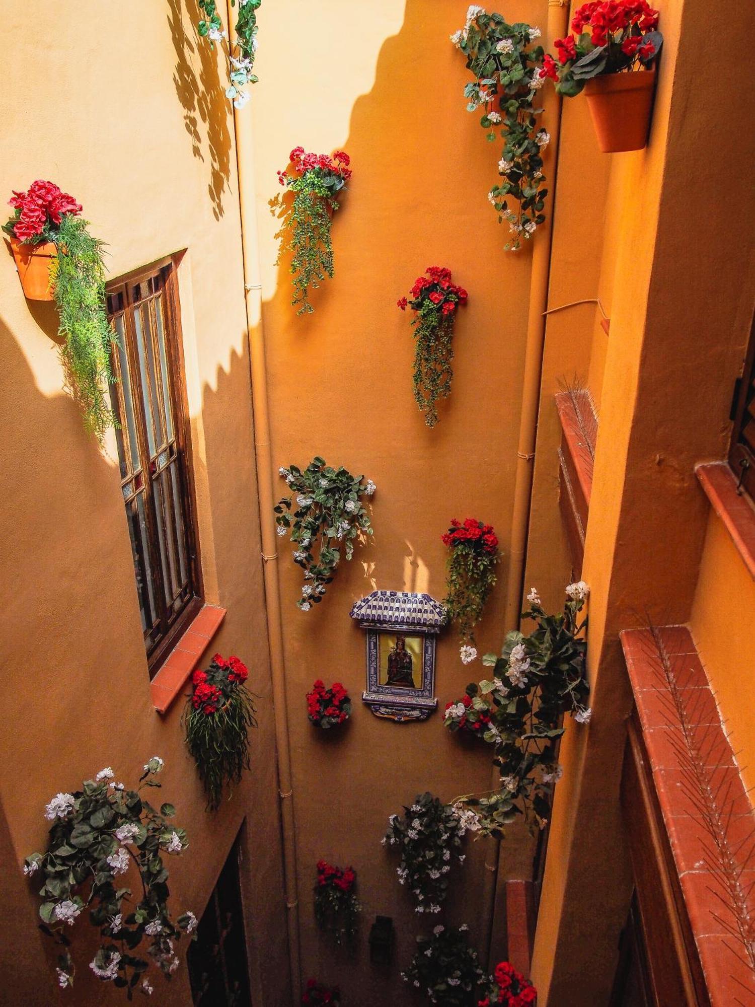 Atico Con Terraza En La Goleta