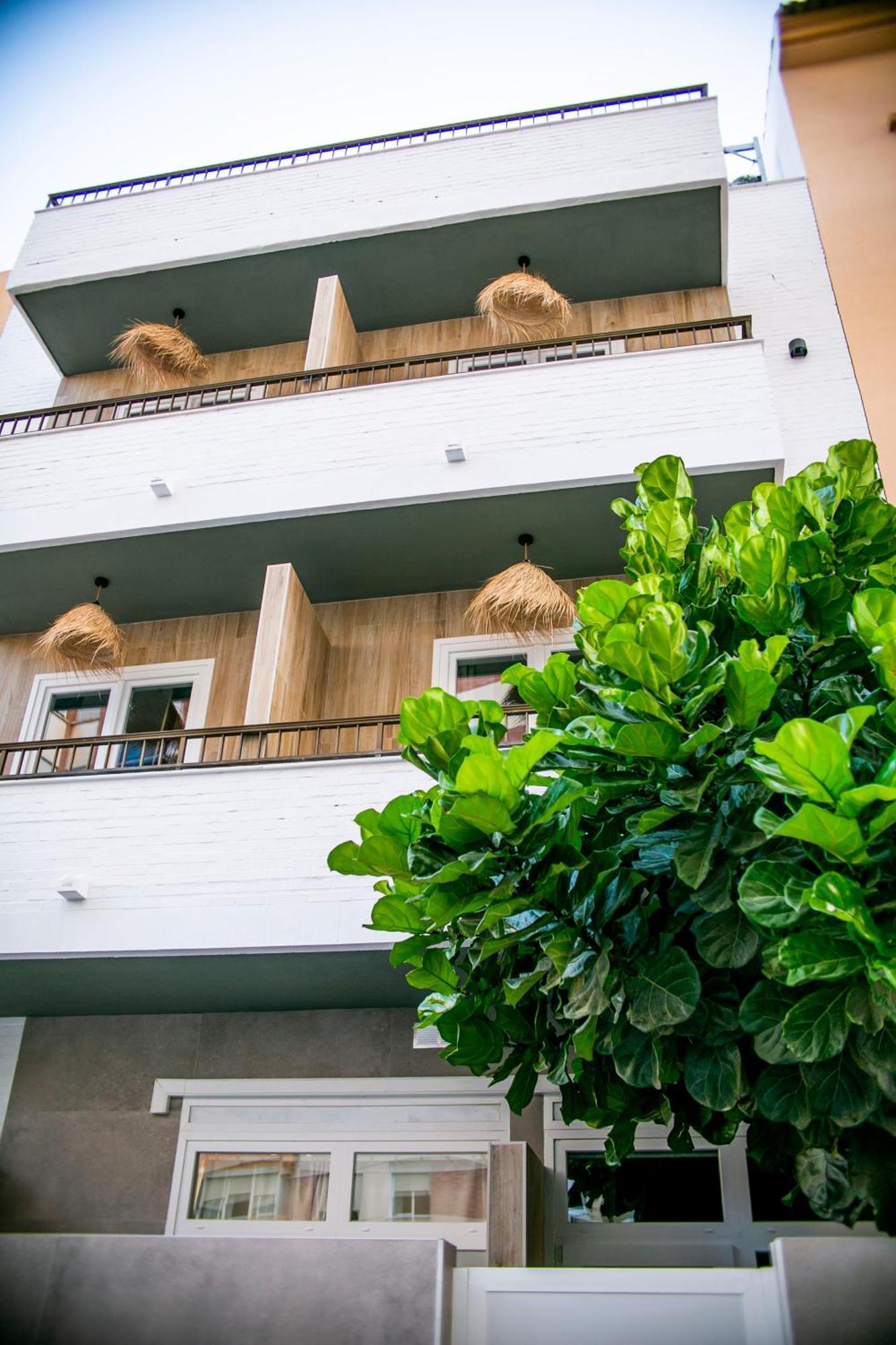 Casa Lyrata Comfort & Design Apartment Malaga