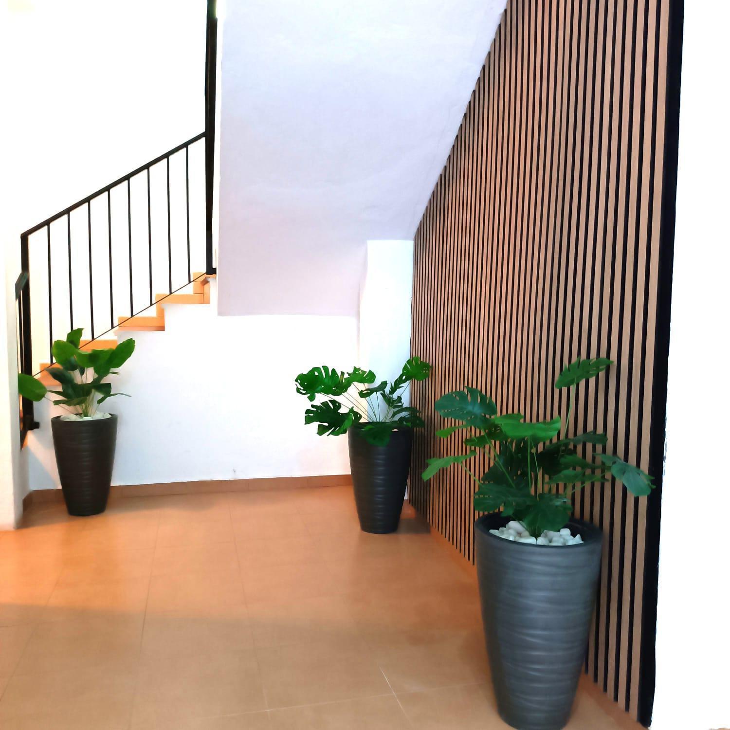 Appartement Calle Nueva Málaga