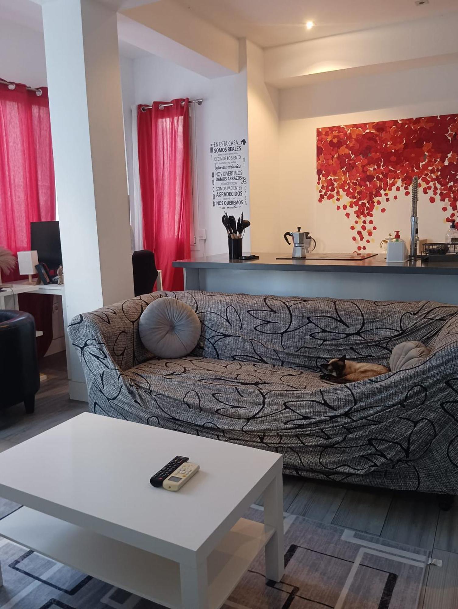 En Un Piso Muy Centrico Y Moderno En - In A Centric And Modern In The Heart Of * Málaga