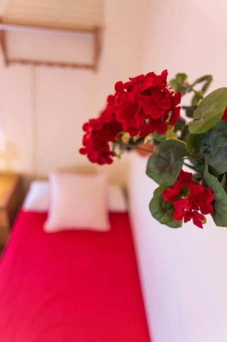 Apartment 3 Bedrooms Center And Malaga