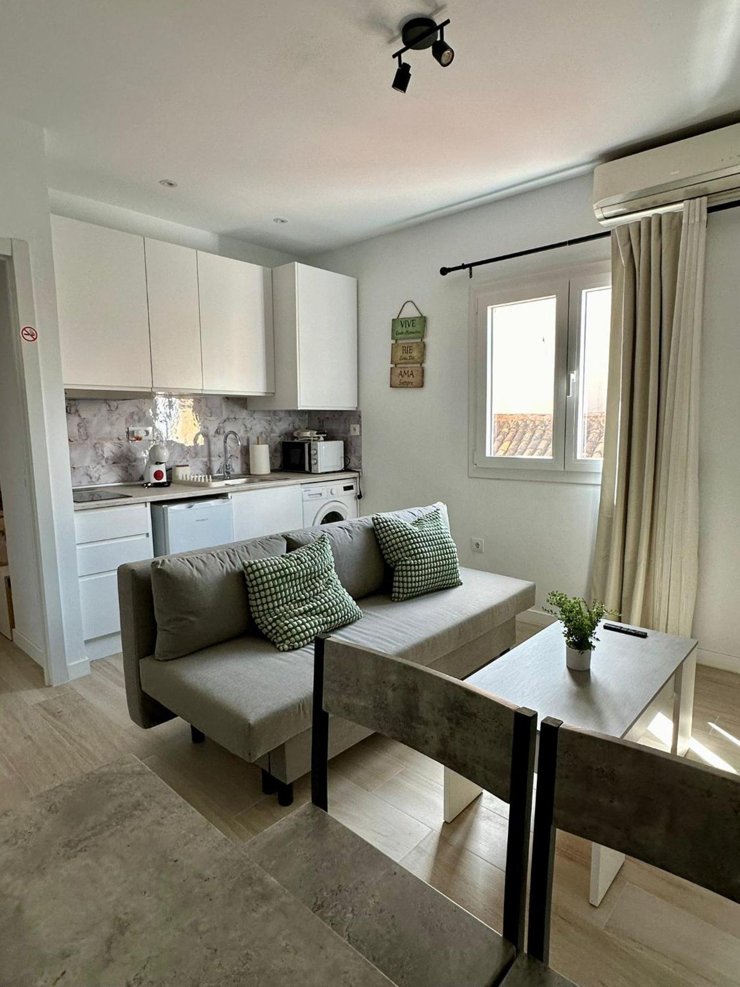 Apartamento Con Solarium En Centro Málaga