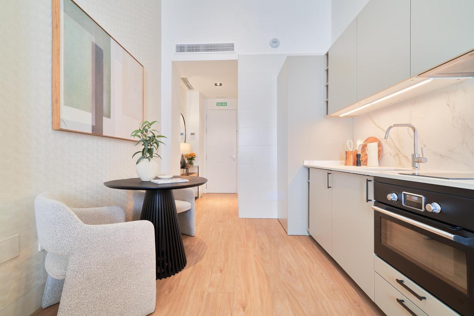 Apartment Iloftmalaga Comedias Malaga