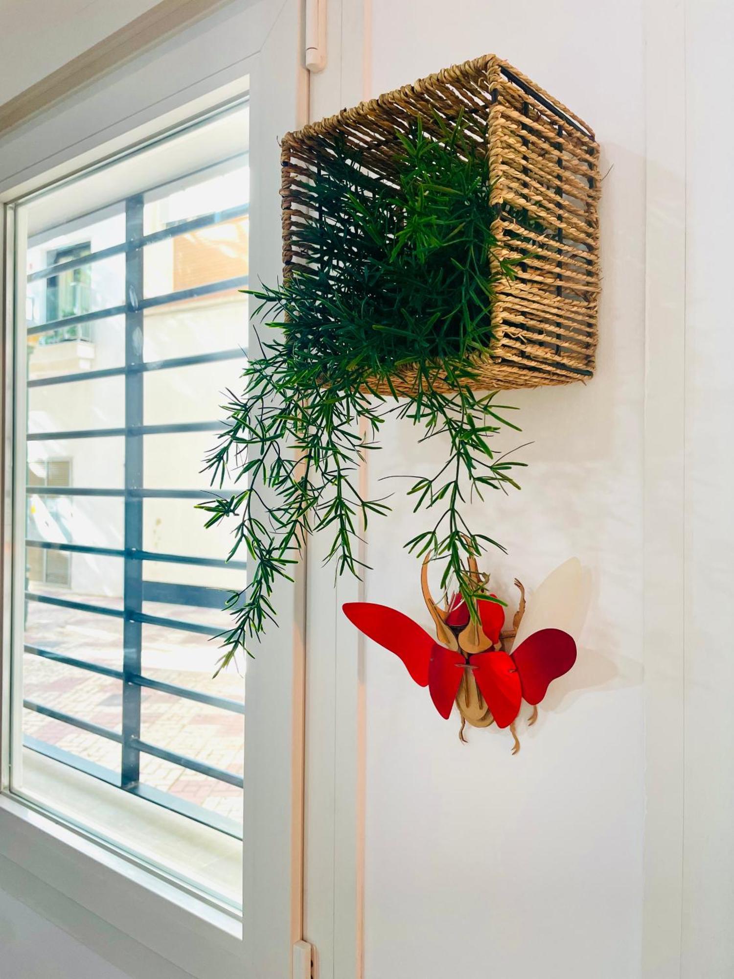 Appartement Completo Y En *