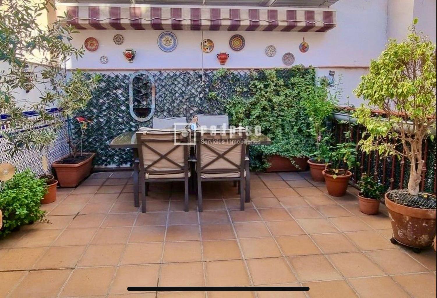 Apartment Maravilloso Centrico De 70m2, Jardin Propio 40m2 Con Piscina Ninos Y Parking Opcional Malaga