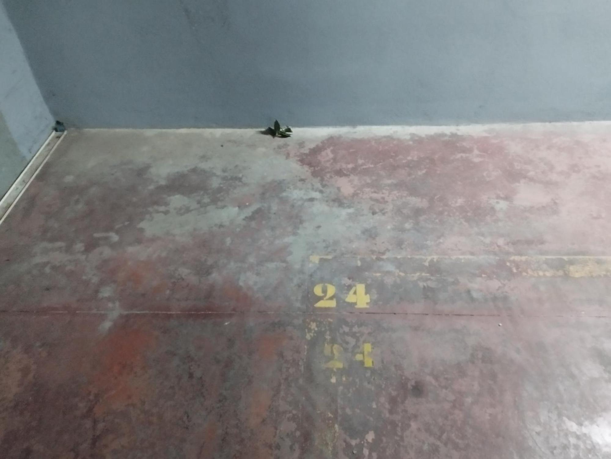 Virgen Gracia 8, Center, Quite, Parking On Request, Vg Holiday home Malaga