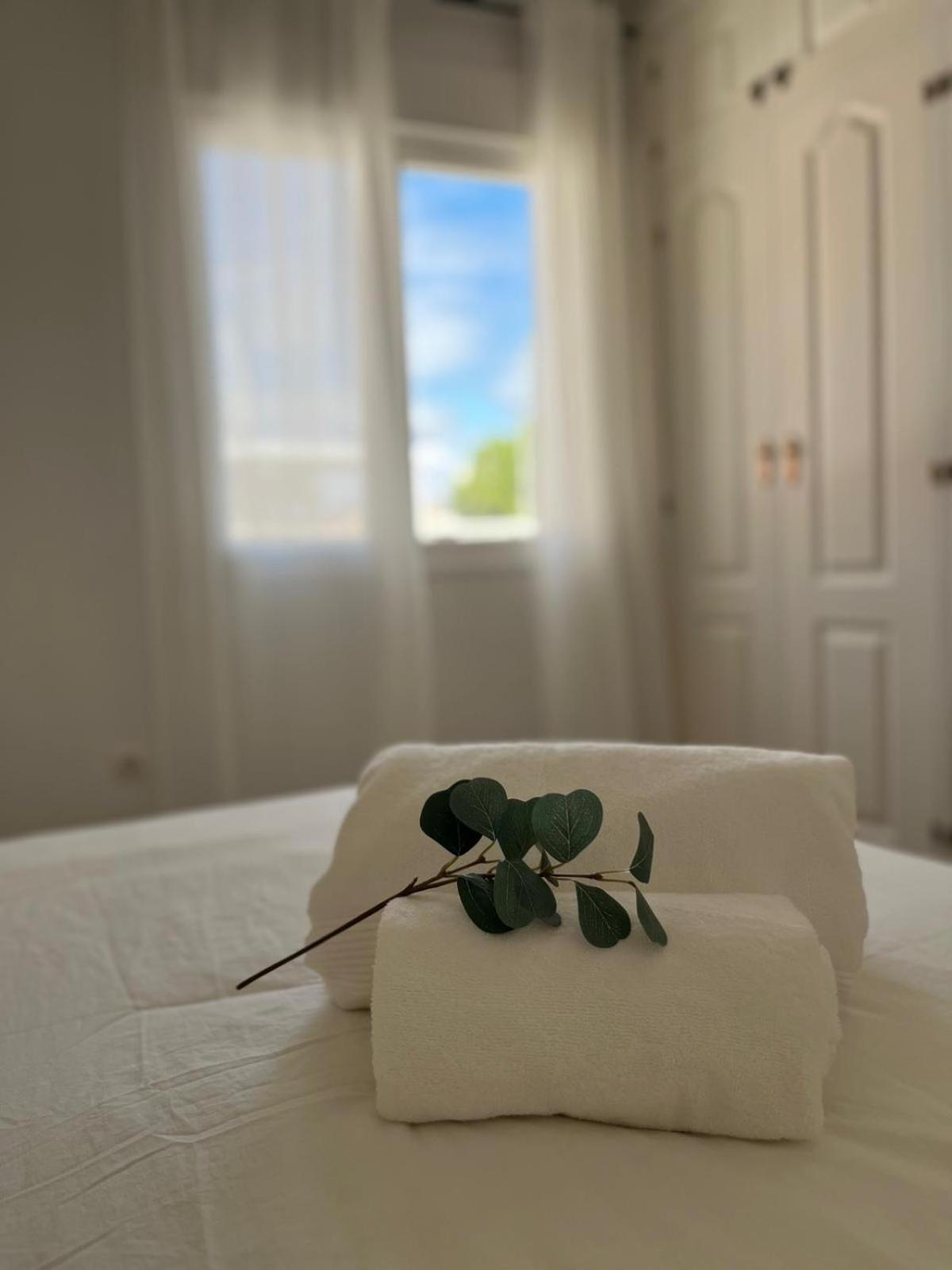 Apartment Prime Location - Stylish With Free Wifi, Free Parking, Steps From The Historic Center