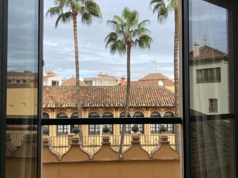 Cathedral Premium Malaga