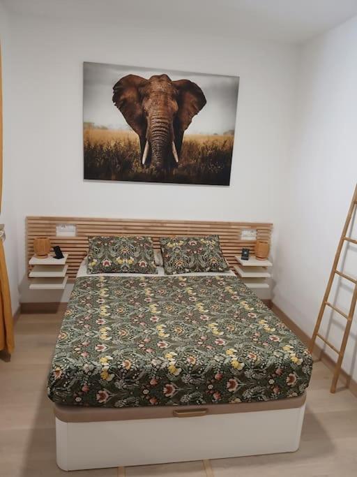 Apartment Elephant House A 10 Minutos Del Centro