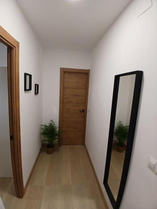 Apartment Elephant House A 10 Minutos Del Centro