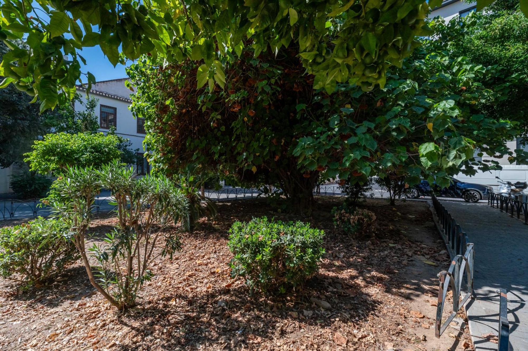 Apartamento Malagadevacaciones - Don Rodrigo Málaga