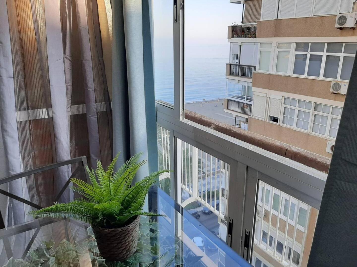 Apartment Malagueta Playa
