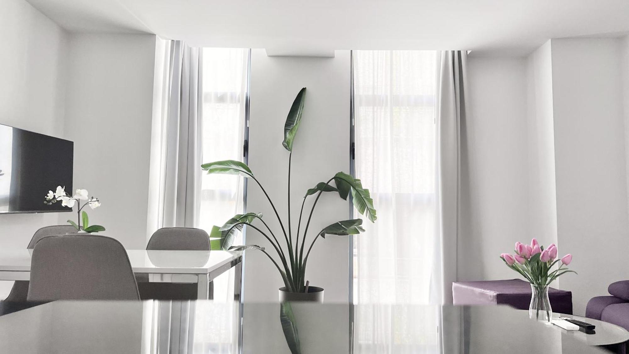 Centro Picacho Apartment